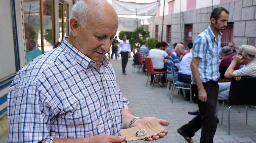 Yuvasından D&uuml;şen Yavru Kumru İ&ccedil;in Seferber Oldular