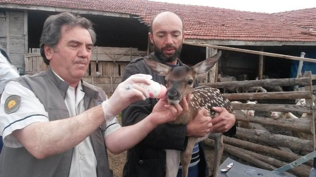 Bakan Eroğlu: &ldquo;yaban Hayatını Korumak Vazifemizdir&rdquo;