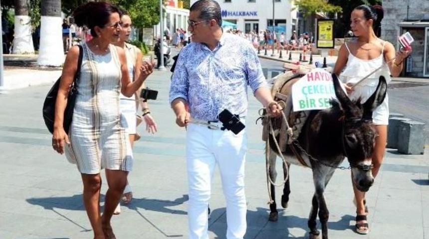 Bodrum Sokaklarında 'eşekli T&uuml;rk&uuml; Tanıtımı' Tepkiyle Karşılandı