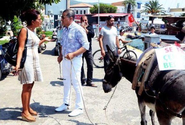 Bodrum Sokaklarında 'eşekli Türkü Tanıtımı' Tepkiyle Karşılandı