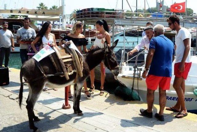 Bodrum Sokaklarında 'eşekli Türkü Tanıtımı' Tepkiyle Karşılandı