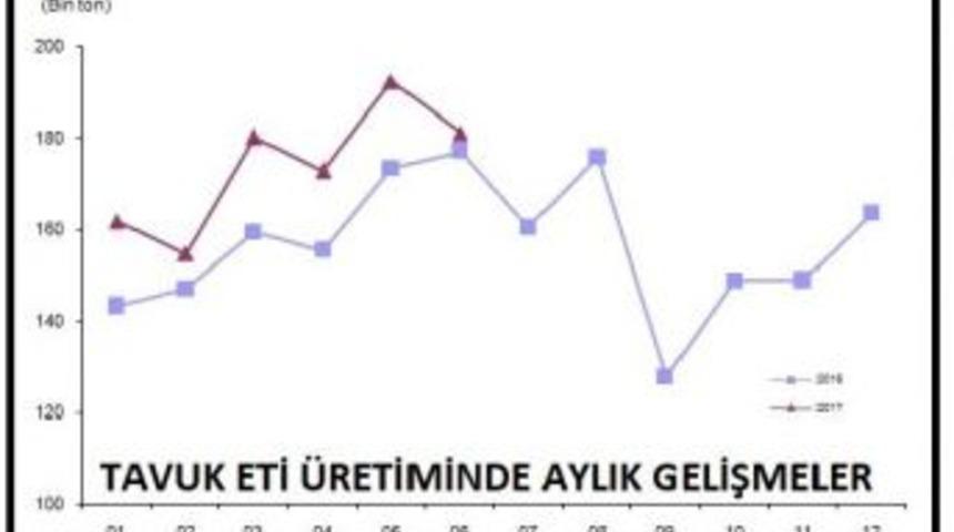 Yılın Ilk Yarısında Yumurta &Uuml;retimi Yıllık Y&uuml;zde 22.4 Arttı