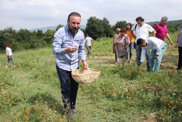 İzmit’te 35 Kişi Sertifikalı Arıcılık Unvanına Kavuştu