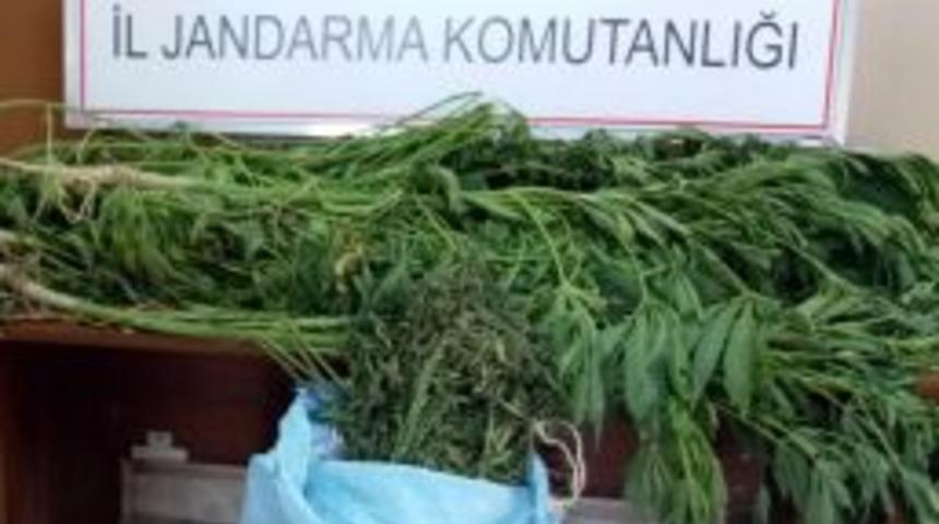 Yozgat&rsquo;ta Uyuşturucu Operasyonu