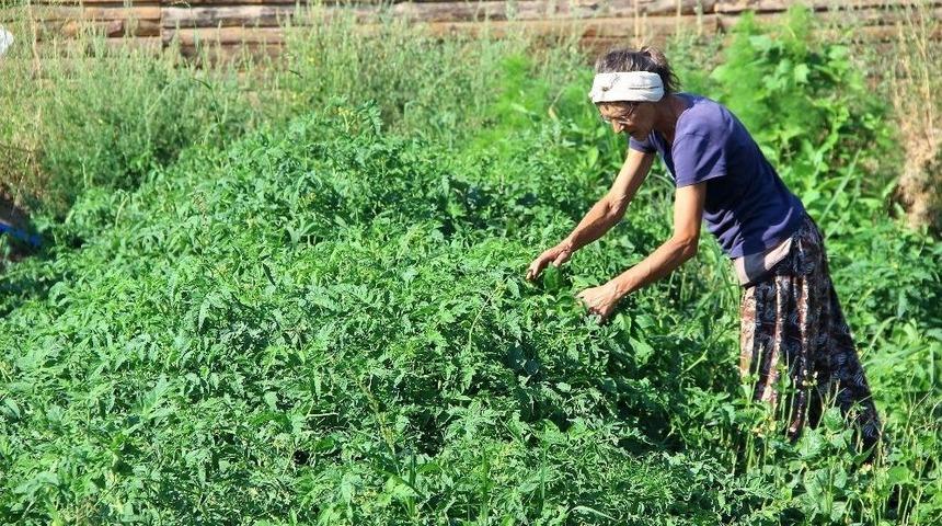 K&ouml;yl&uuml; Kadınlar Gibi Şalvar Giyen Alman, Kazdağları&rsquo;nda Organik Tohum &Uuml;retiyor