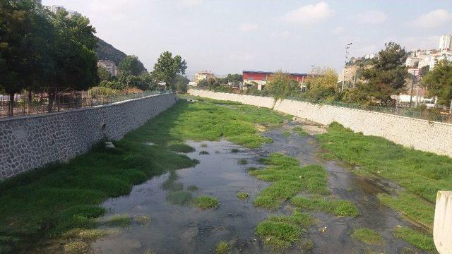 Samsun 40 Gündür Yağmura Hasret