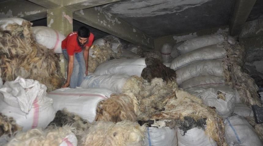 D&uuml;ğ&uuml;n Sezonu Y&uuml;nc&uuml;lerin Y&uuml;z&uuml;n&uuml; G&uuml;ld&uuml;rd&uuml;