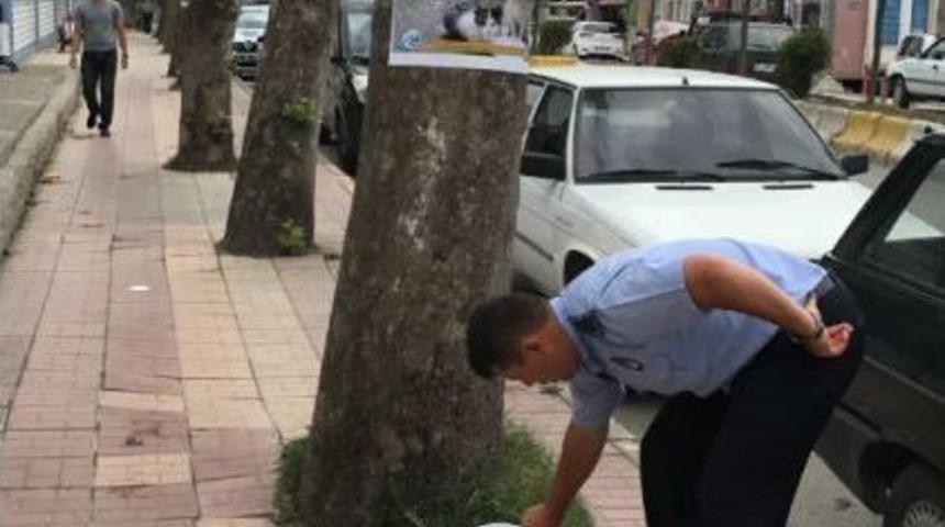 Kaynarca’da Sokak Hayvanları Susuzluktan Ölmeyecek