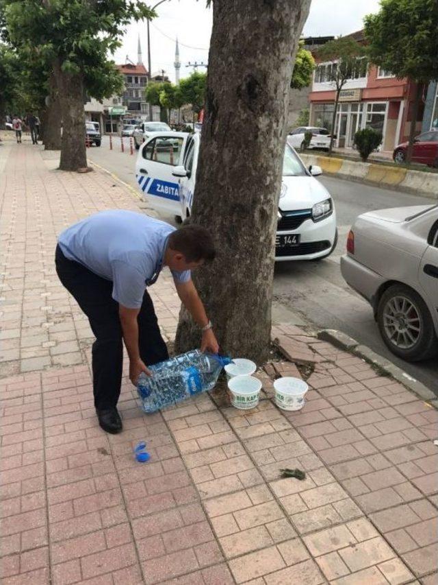 Kaynarca’da Sokak Hayvanları Susuzluktan Ölmeyecek