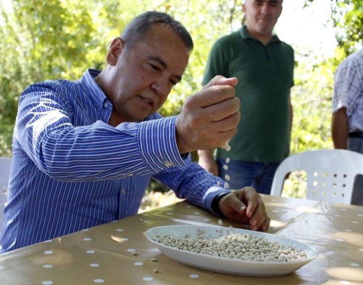 Başkan Böcek, Çandır Fasulyesi Çapaladı G5