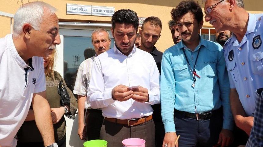 Yozgat&rsquo;ta Kurban Satış Yerleri Belirlendi