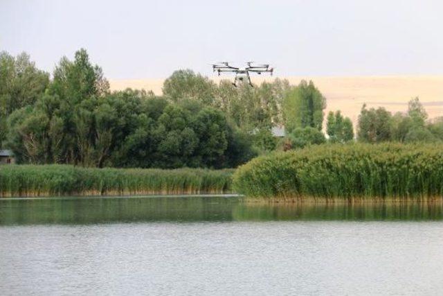 Edremit’Te Drone Ile Ilaçlama Çalışması