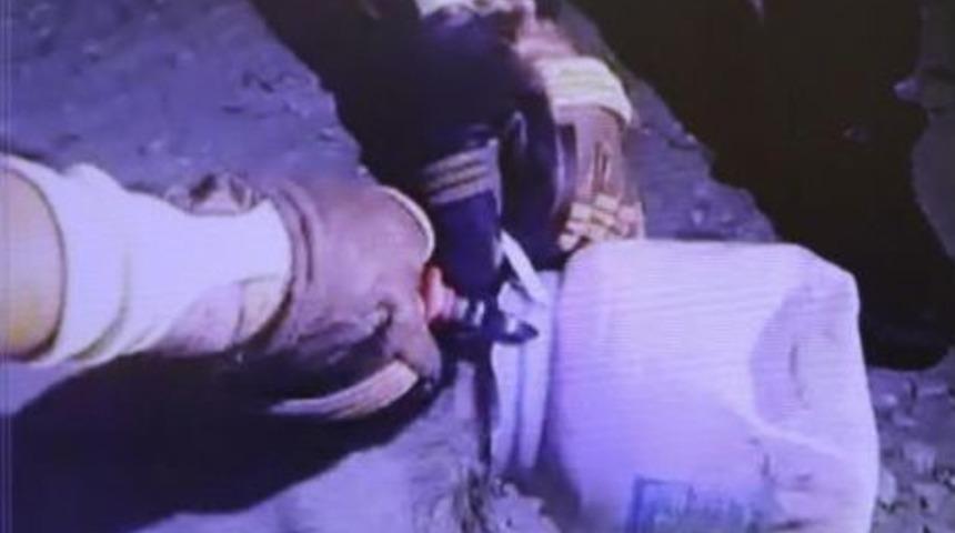 Başı Bidona Sıkışan Yavru K&ouml;peği  Itfaiye Kurtardı