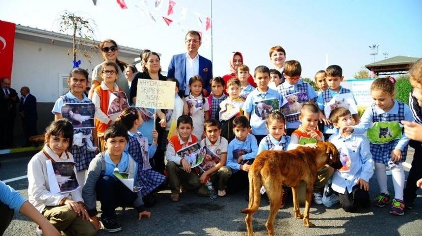 Beylikd&uuml;z&uuml;&rsquo;nde &Uuml;cretsiz Kuduz Aşısı Kampanyası Başlıyor
