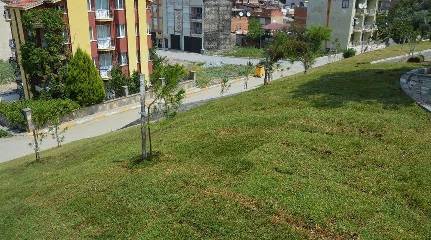 Söke’de Yeşil Alan Miktarı Artıyor