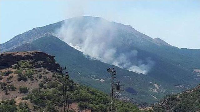 Tunceli'de 6 Bölgede Başlayan Orman Yangınları Devam Ediyor