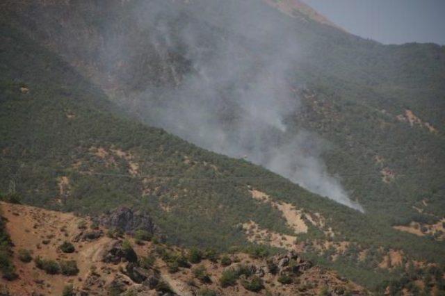 Tunceli'de 6 Bölgede Başlayan Orman Yangınları Devam Ediyor