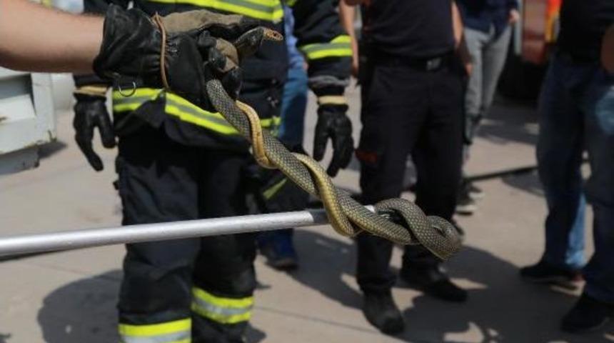 Kamyonete Giren Yılanı Itfaiye &Ccedil;ıkardı