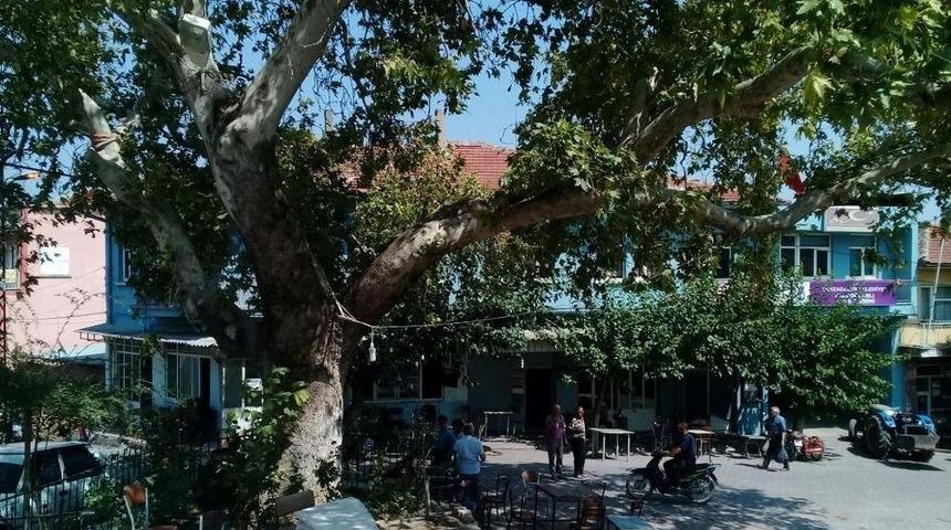 Eski Belediye Binası K&uuml;t&uuml;phane Oluyor