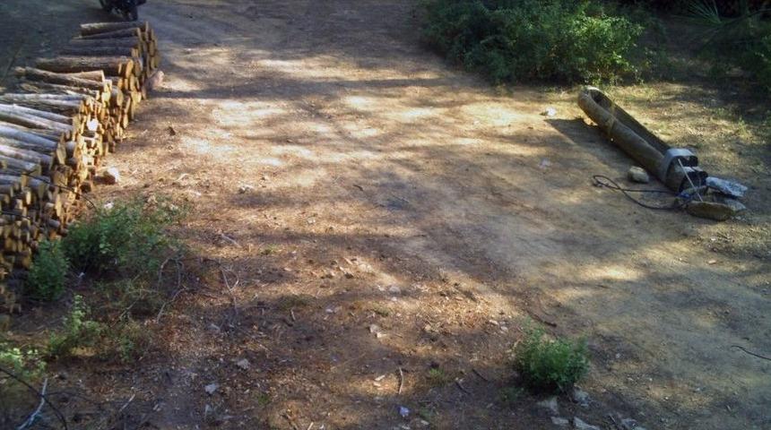 Odun Hırsızı Fotokapana Yakalandı