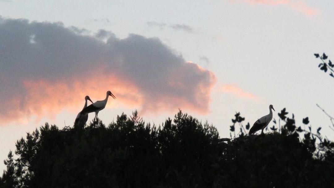 Leylekler Vadisi&rsquo;nde G&uuml;n Batımı