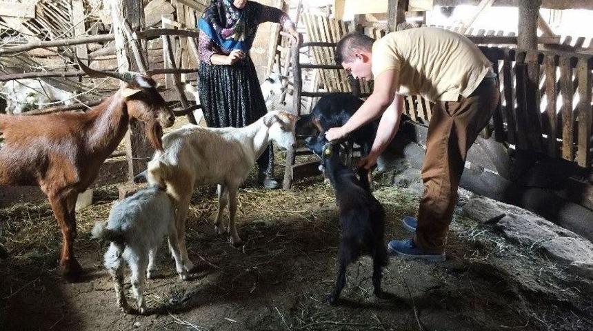 İzmit Belediyesi, K&ouml;yleri Ziyaret Ediyor