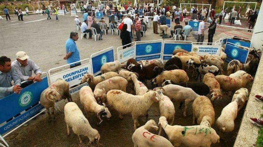 Odunpazarı&rsquo;ndan &Uuml;cretsiz Kurban Kesim Hizmeti
