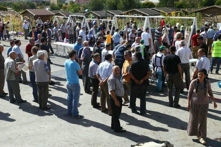 Odunpazarı’ndan Ücretsiz Kurban Kesim Hizmeti G2