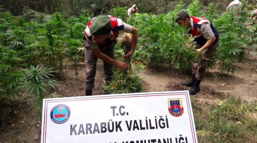Jandarma Uyuşturucu &Uuml;retime G&ouml;z A&ccedil;tırmıyor
