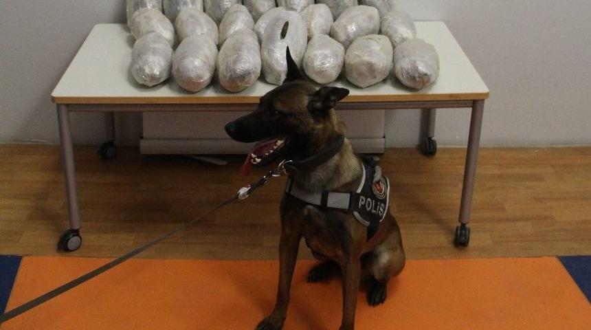 Tamponda 17 Kilo 830 Gram Uyuşturucu Ele Ge&ccedil;irildi