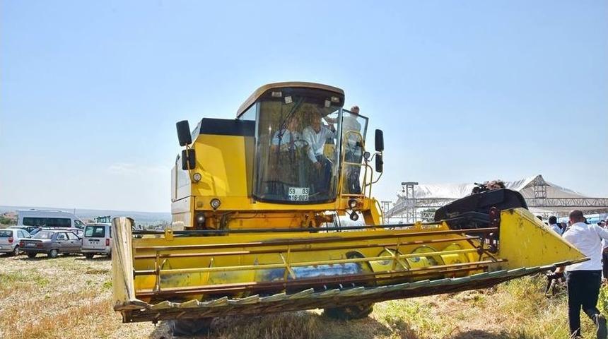 Ayçiçeği Hasat Şenliği