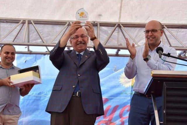 Ayçiçeği Hasat Şenliği 1