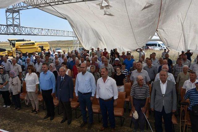 Ayçiçeği Hasat Şenliği 2