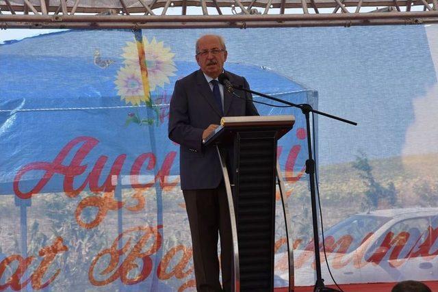 Ayçiçeği Hasat Şenliği 3