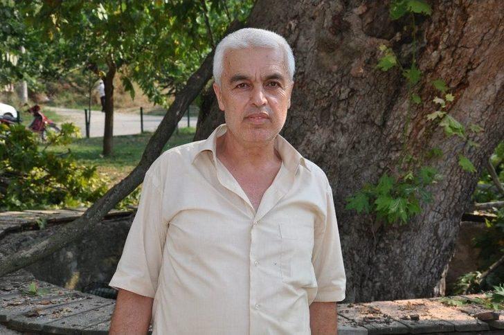 350 Yıllık Çınar Ağacının Dalları Araçların Üzerine Devrildi G5