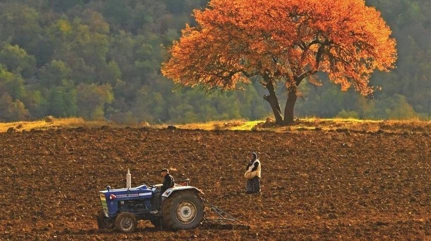 Aydın&rsquo;da Trakt&ouml;r Sayısı 44 Bin 674 Oldu