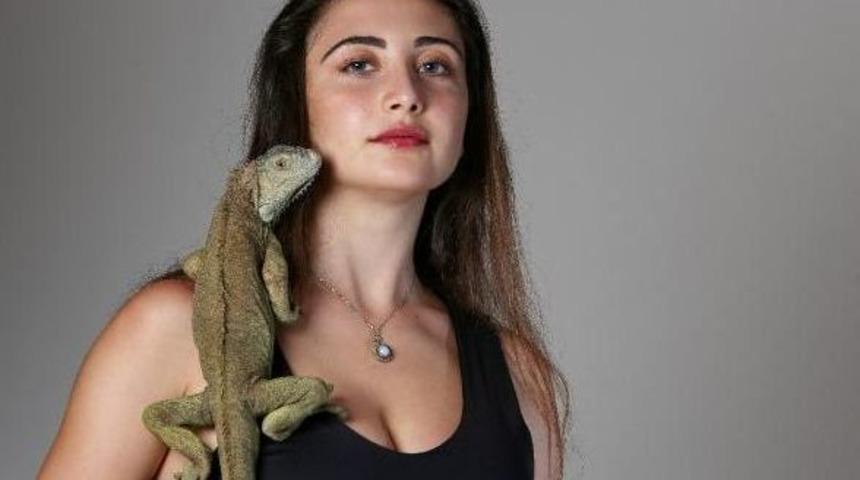 İguanalara Katalog &Ccedil;ekimi