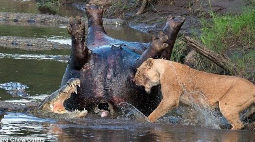 Her şey bu ziyafetin sahibi olabilmek i&ccedil;in