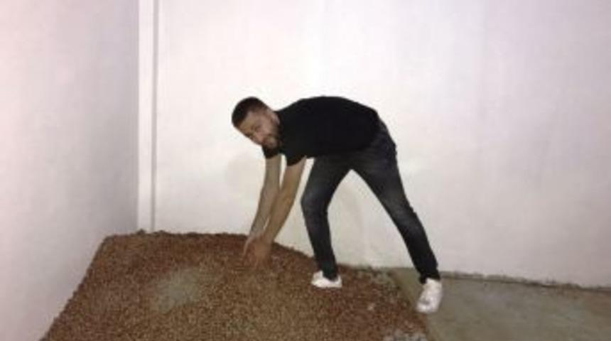 Yılın İlk Fındığı T&uuml;ccara İndi