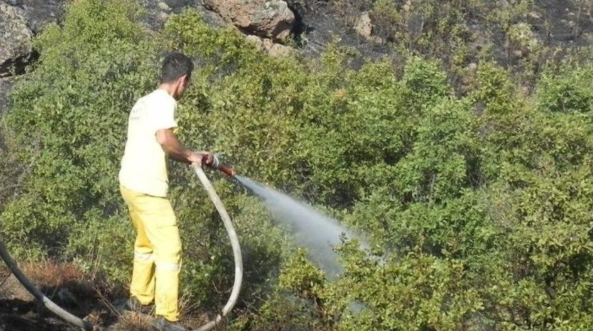 Tavşanlı&rsquo;daki Mesire Alanında Yangın