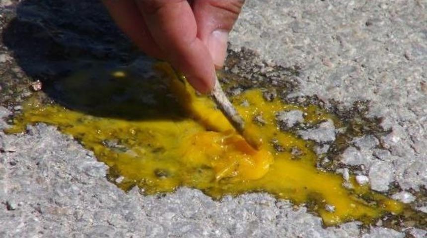 Elazığ'da Asfaltta Yumurta Pişirildi