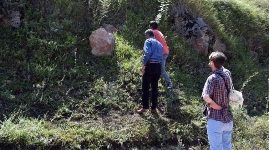 Sakarya&rsquo;da Ayılar İ&ccedil;in Foto Kapan Kurdular