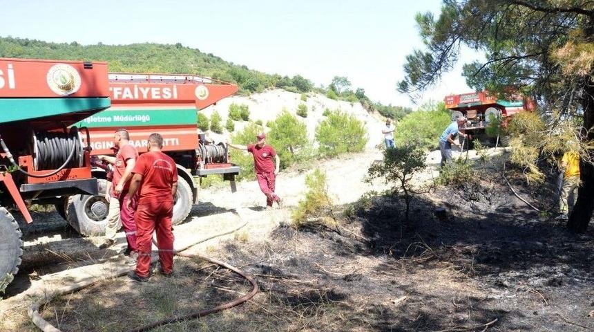 Tekirdağ&rsquo;da 50 D&ouml;n&uuml;m Ormanlık Alan K&uuml;l Oldu