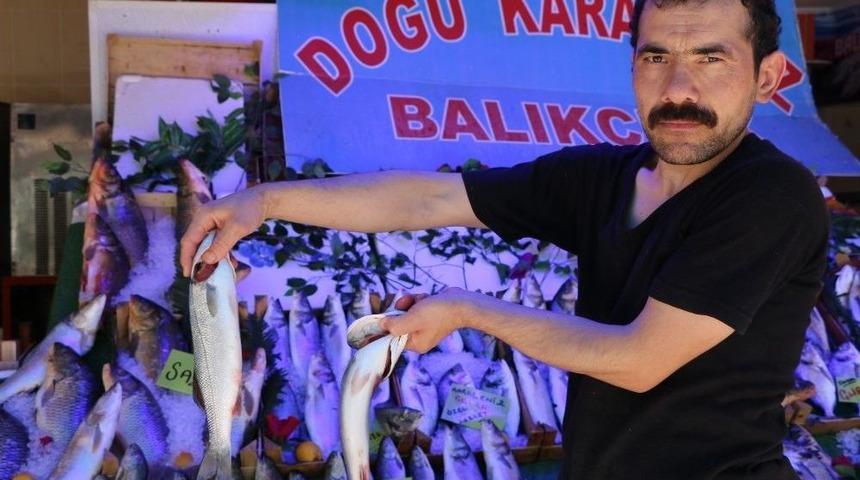 Yaz Aylarında Balık&ccedil;ılar Satışlarından Pek Memnun Değil