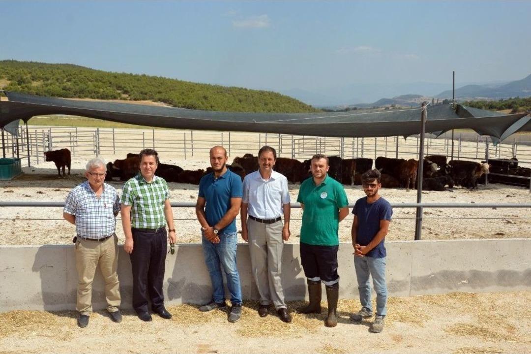 Tokat&rsquo;a B&ouml;lgenin En B&uuml;y&uuml;k Besi &Ccedil;iftliği Kuruldu