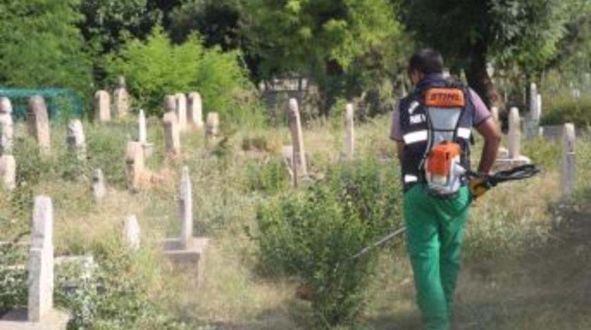 Mezarlıklarda Yabani Otlar Toplandı