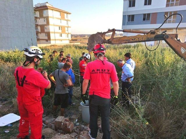 İnek Sahibinin Gözü Önünde Su Kuyusuna Düştü