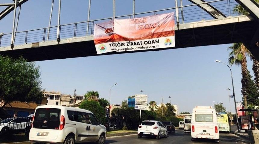 Mısır &Uuml;reticisine &ldquo;pankartlı&rdquo; Anız Uyarısı