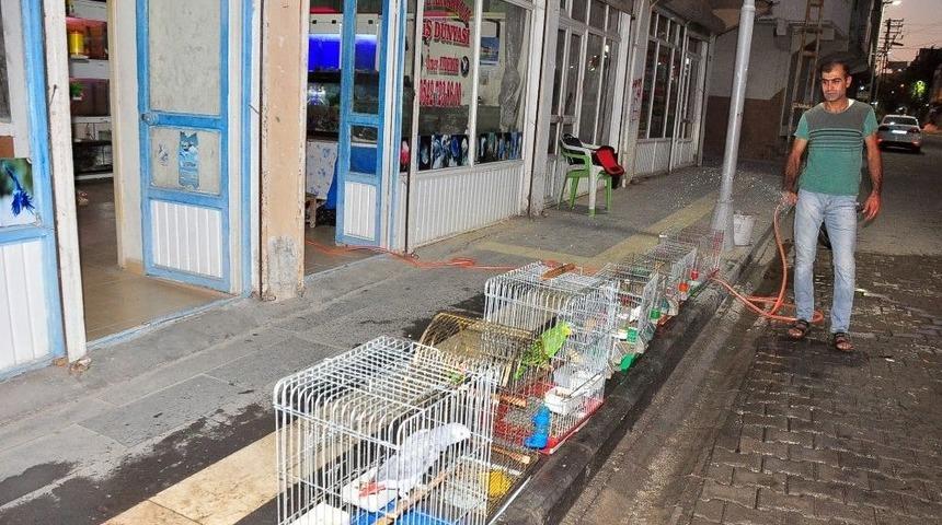 S&uuml;s Hayvanları Buz İle Serinletiliyor