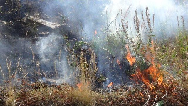 Dereiçi’nde Otları Ateşe Verdiler